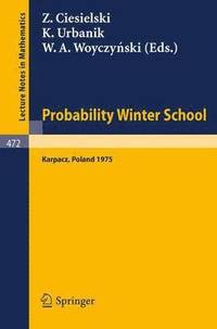 bokomslag Probability Winter School