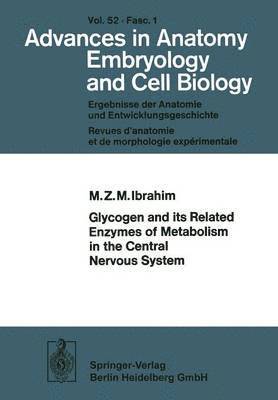 bokomslag Glycogen and its Related Enzymes of Metabolism in the Central Nervous System