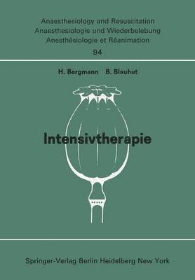 H. Bergmann, B. Blauhut - Intensivtherapie, Häftad