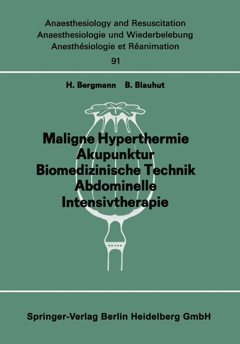 H. Bergmann, B. Blauhut - Fortbildung 3, Häftad
