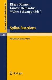 bokomslag Spline Functions