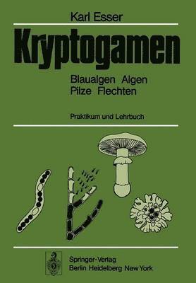 bokomslag Kryptogamen