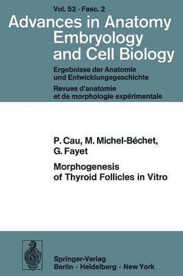 P. Cau, M. Michel-Bechet, G. Fayet, Pierre Cau - Morphogenesis of Thyroid Follicles in Vitro, Häftad