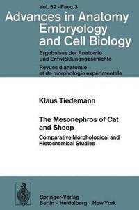 bokomslag Mesonephros of Cat and Sheep