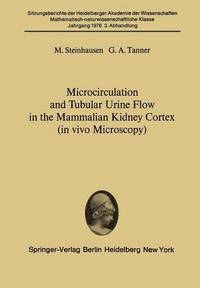 bokomslag Microcirculation and Tubular Urine Flow in the Mammalian Kidney Cortex (in vivo Microscopy)