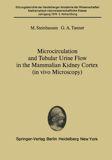 bokomslag Microcirculation and Tubular Urine Flow in the Mammalian Kidney Cortex (in vivo Microscopy)