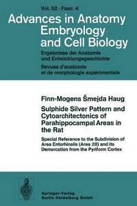 bokomslag Sulphide Silver Pattern and Cytoarchitectonics of Parahippocampal Areas in the Rat