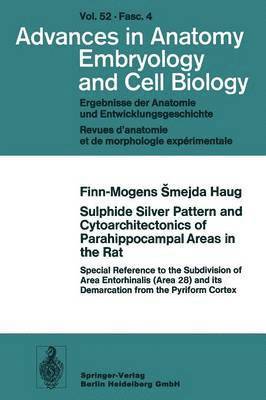 bokomslag Sulphide Silver Pattern and Cytoarchitectonics of Parahippocampal Areas in the Rat