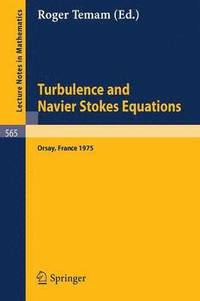 bokomslag Turbulence and Navier Stokes Equations