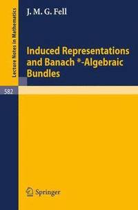 bokomslag Induced Representations and Banach*-Algebraic Bundles