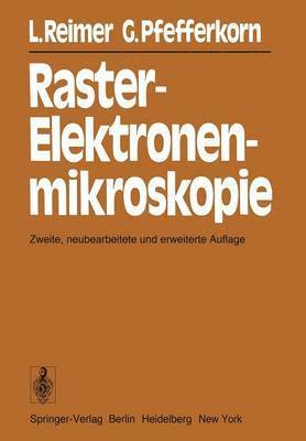 Raster-Elektronenmikroskopie 1