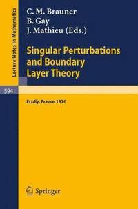 bokomslag Singular Perturbations and Boundary Layer Theory