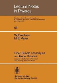 bokomslag Fiber Bundle Techniques in Gauge Theories