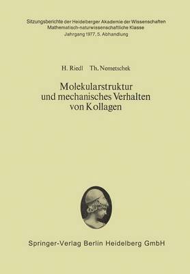 Molekularstruktur und mechanisches Verhalten von Kollagen 1