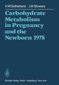 bokomslag Carbohydrate Metabolism in Pregnancy and the Newborn 1978