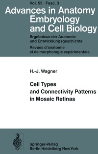 bokomslag Cell Types and Connectivity Patterns in Mosaic Retinas