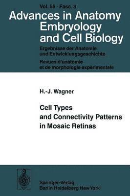 bokomslag Cell Types and Connectivity Patterns in Mosaic Retinas