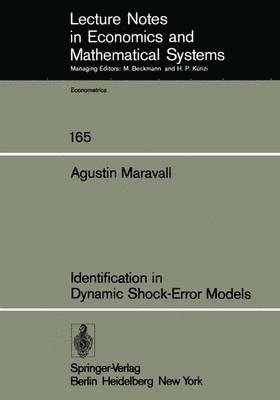 Identification in Dynamic Shock-Error Models 1