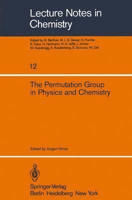 J. Hinze - Permutation Group in Physics and Chemistry, Häftad