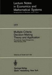 bokomslag Multiple Criteria Decision Making Theory and Application