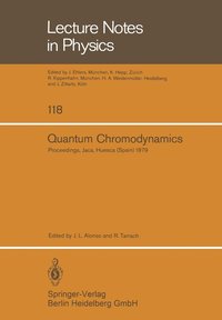 bokomslag Quantum Chromodynamics