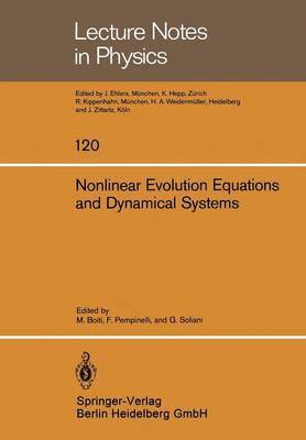 bokomslag Nonlinear Evolution Equations and Dynamical Systems