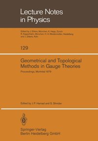 bokomslag Geometrical and Topological Methods in Gauge Theories
