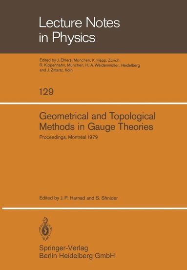 bokomslag Geometrical and Topological Methods in Gauge Theories