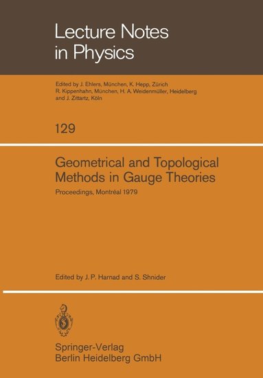 bokomslag Geometrical and Topological Methods in Gauge Theories