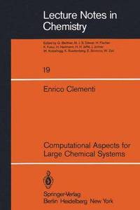 bokomslag Computational Aspects for Large Chemical Systems