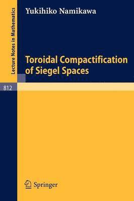 Toroidal Compactification of Siegel Spaces 1