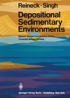 bokomslag Depositional Sedimentary Environments