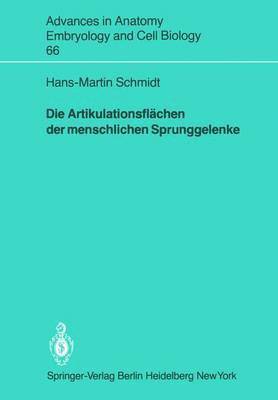 Hans-Martin Schmidt - Die Artikulationsflächen der menschlichen Sprunggelenke, Häftad