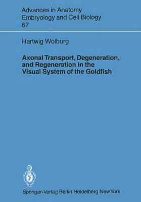 bokomslag Axonal Transport, Degeneration, and Regeneration in the Visual System of the Goldfish