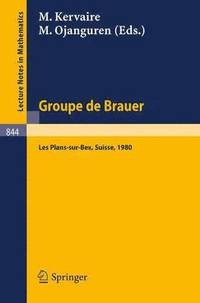 bokomslag Groupe de Brauer