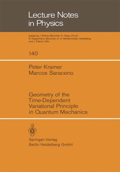 bokomslag Geometry of the Time-Dependent Variational Principle in Quantum Mechanics