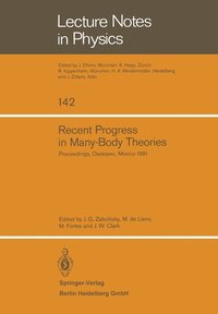 bokomslag Recent Progress in Many-Body Theories