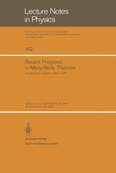 bokomslag Recent Progress in Many-Body Theories