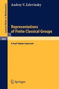 bokomslag Representations of Finite Classical Groups