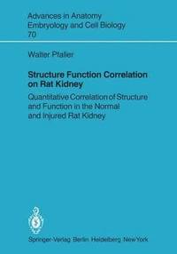 bokomslag Structure Function Correlation on Rat Kidney