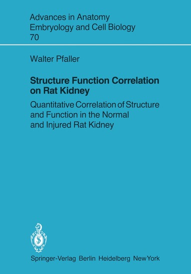 bokomslag Structure Function Correlation on Rat Kidney
