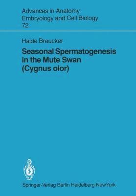 Seasonal Spermatogenesis in the Mute Swan (Cygnus olor) 1