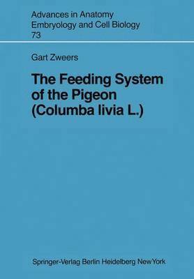 The Feeding System of the Pigeon (Columba livia L.) 1