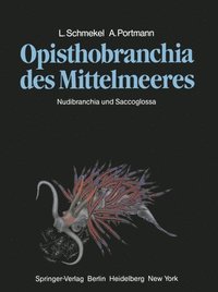 bokomslag Opisthobranchia des Mittelmeeres