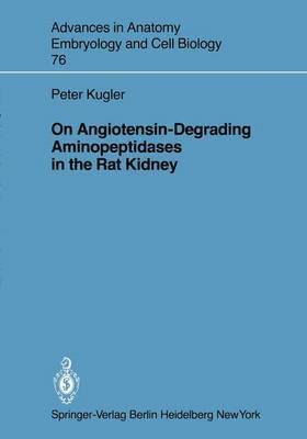 On Angiotensin-Degrading Aminopeptidases in the Rat Kidney 1