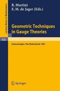 bokomslag Geometric Techniques in Gauge Theories