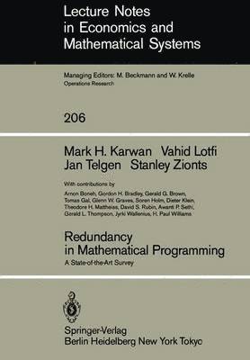 Redundancy in Mathematical Programming 1
