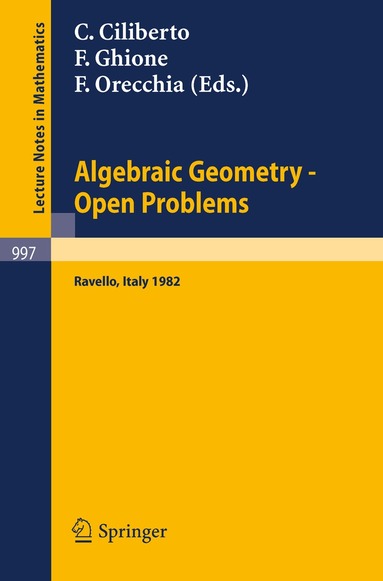 C. Ciliberto, F. Ghione, F. Orecchia - Algebraic Geometry - Open Problems, Häftad