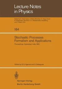 bokomslag Stochastic Processes, Formalism and Applications