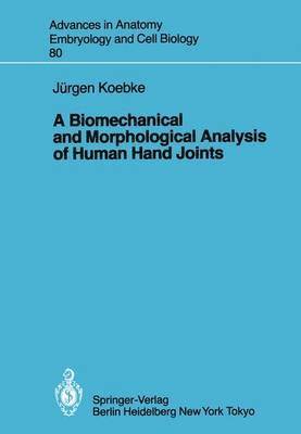 A Biomechanical and Morphological Analysis of Human Hand Joints 1